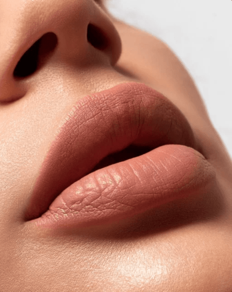 Lip Blush Alyce Gontijo